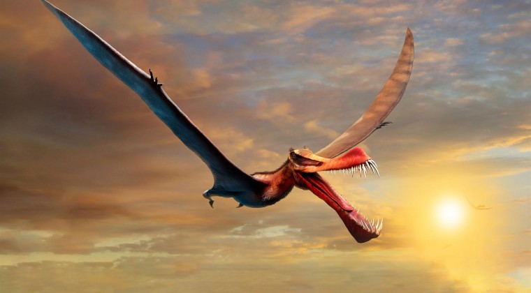 Encuentran a un dinosaurio volador, descrito como un temible dragón