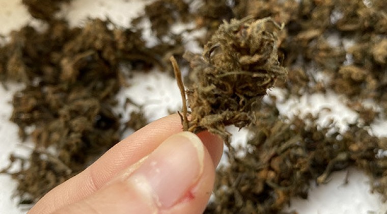 Detienen a una persona que trató de meter marihuana al Palacio de Justicia