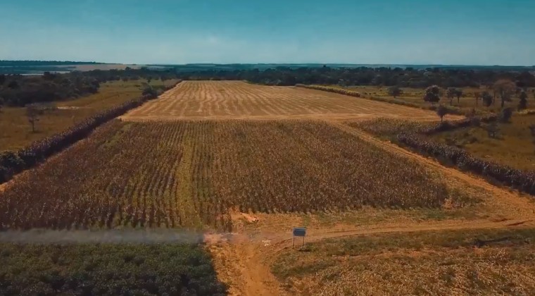 Sin lluvias, casi cuatro millones de hectáreas de campo están en juego