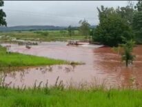 Al menos 800 damnificados tras intensas lluvias en Amambay