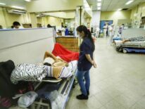 Expertos vendrán al país para estudiar a la chinkungunya y sus efectos graves