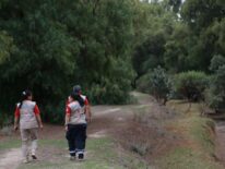 Lanzan alerta por gorila que deambula en poblado mexicano