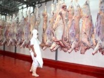 Carne paraguaya a Estados Unidos: semanas de expectativas positivas