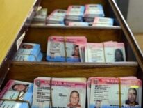 Cédulas con chips: senadores esperan informe tras denuncias de duplicación de documentos