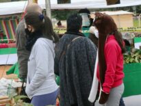 Frente frío ingresa el domingo: anuncian hasta 7ºC en algunas zonas