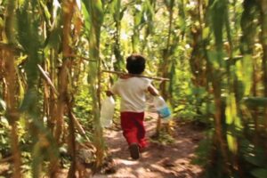Terrible caso: niño revela que su tío lo abusaba en la chacra