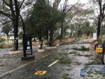 Paseo Parque de Villa Elisa, clausurado tras destrozos causados por la tormenta