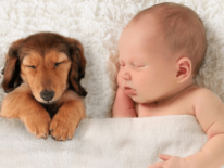 ¿Es buena idea tener mascotas en casa con recién nacidos?