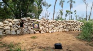 Detectan 18mil kilos de marihuana en zona Trabuco