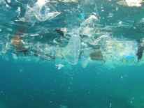 Uruguay alberga primer encuentro entre gobiernos para salvar a los océanos de los plásticos