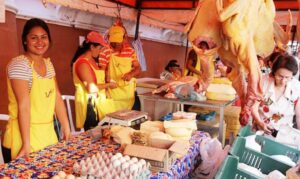 Feria de fin de año frente al Indert: colonos expondrán sus productos por tres días