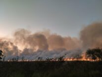 Controlan incendio forestal de importante magnitud