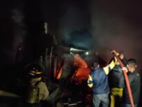 Tres mascotas mueren calcinadas en incendio de precaria vivienda