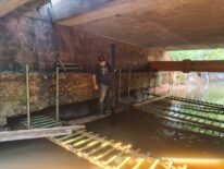 Inician las primeras intervenciones en el puente Ybera de San Lorenzo
