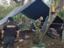 Anulan campamento narco con más de 3,4 toneladas de marihuana en Canindeyú