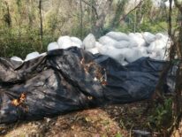 Asestan golpe de más de 19 millones de dólares a narcos