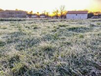 Siete localidades batieron récords de temperaturas mínimas este domingo