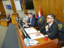 En Diputados definen proyecto del combustible: no incluye a emblemas privados