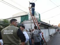 Inician proceso de retiro de contenedores que servían de casillas en el Mercado 4