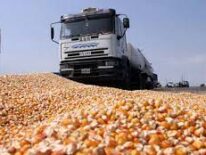 Subsidio a combustibles, por sector, para evitar desangrar al Estado, piden