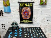 Incautan cocaína, marihuana y crack en una vivienda 