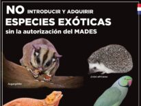 Instan a no introducir ni adquirir especies exóticas