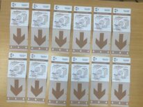 Fraude electoral: fijan fecha de imposición de medidas para procesados