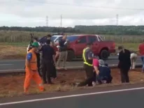 Salió de prisión y horas después murió arrollado por un vehículo