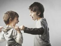 Factores que influyen en el desarrollo de los niños y repercuten en conductas violentas