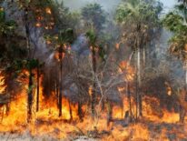 Video: Incendio en sede del complejo deportivo de la APF, en Ypané